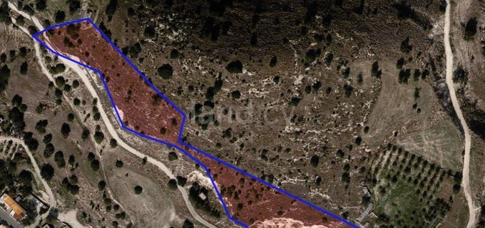 Residential field for sale in Paphos