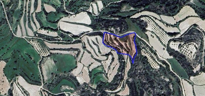 Landwirtschaftliches Baugebiet in Paphos zu verkaufen