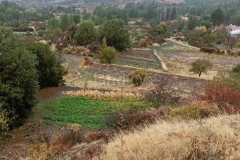 Campo residencial a la venta en Limassol