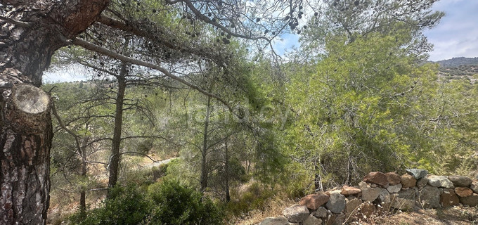 Landwirtschaftliches Baugebiet in Limassol zu verkaufen