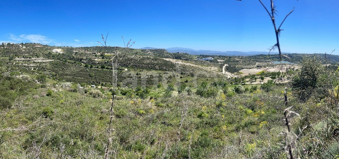 Landwirtschaftliches Baugebiet in Paphos zu verkaufen