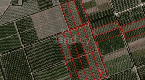 Field for sale in Limassol