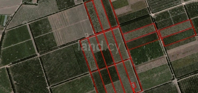 Field for sale in Limassol