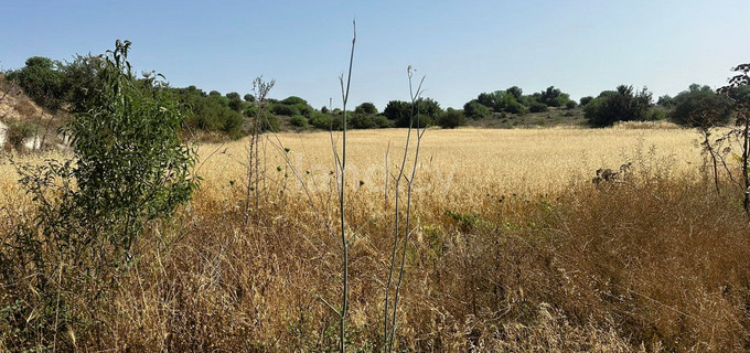 Parcela residencial a la venta en Paphos