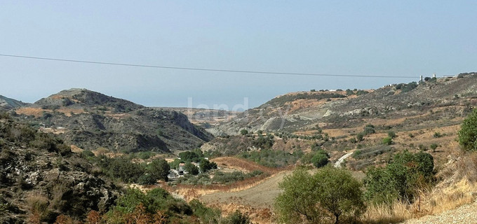 Agricultural field for sale in Paphos