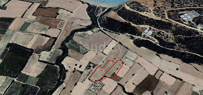 Agricultural field for sale in Limassol