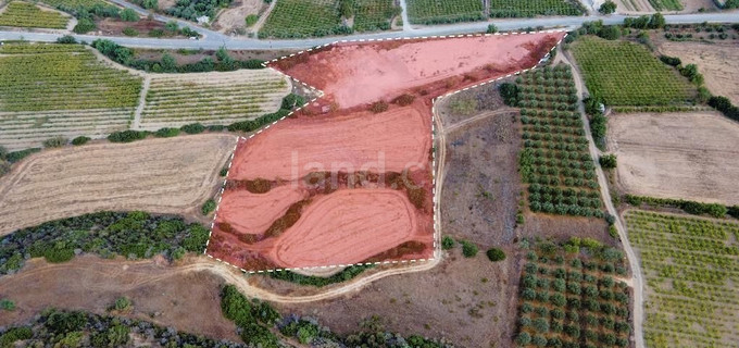 Residential field for sale in Limassol