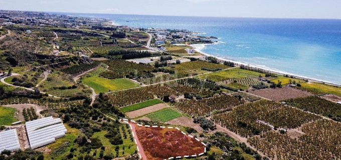 Terrain à vendre à Paphos