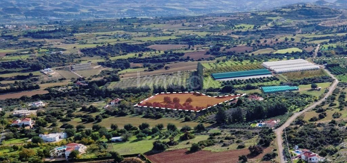 Agricultural field for sale in Paphos