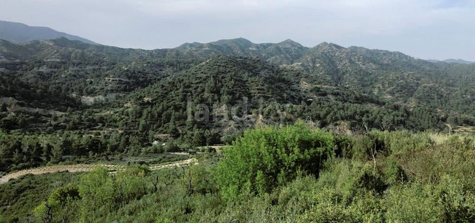 Agricultural field for sale in Limassol