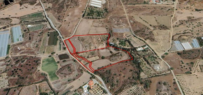 Agricultural field for sale in Limassol