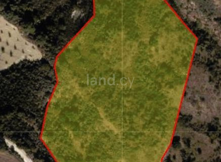 Agricultural field for sale in Paphos