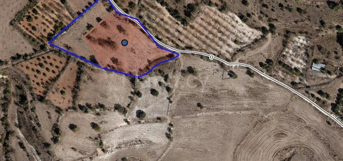 Landwirtschaftliches Baugebiet in Paphos zu verkaufen