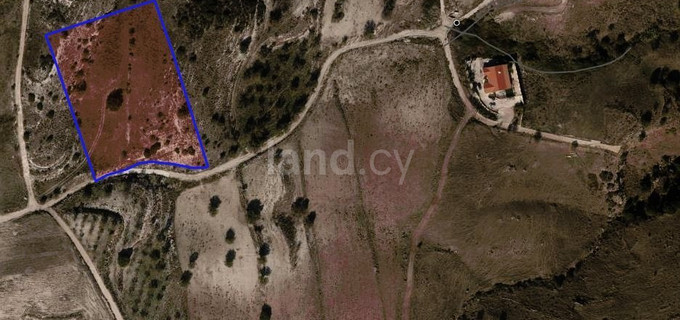 Agricultural field for sale in Paphos