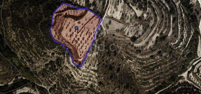 Agricultural field for sale in Paphos