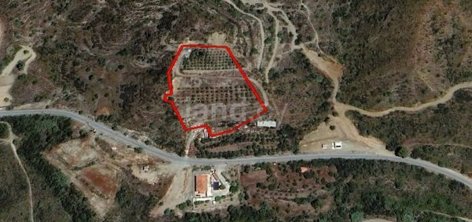 Agricultural field for sale in Limassol