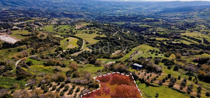 Terrain résidentiel à vendre à Paphos