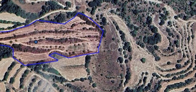 Terrain agricole à vendre à Paphos