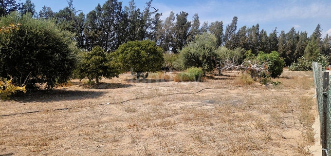 Residential plot for sale in Limassol