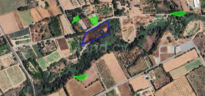 Campo agrícola a la venta en Paphos