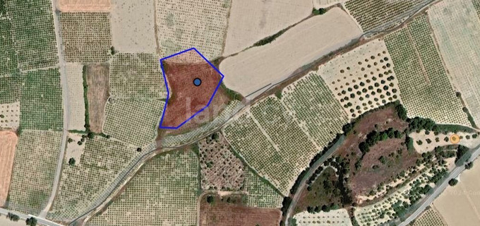 Landwirtschaftliches Baugebiet in Paphos zu verkaufen