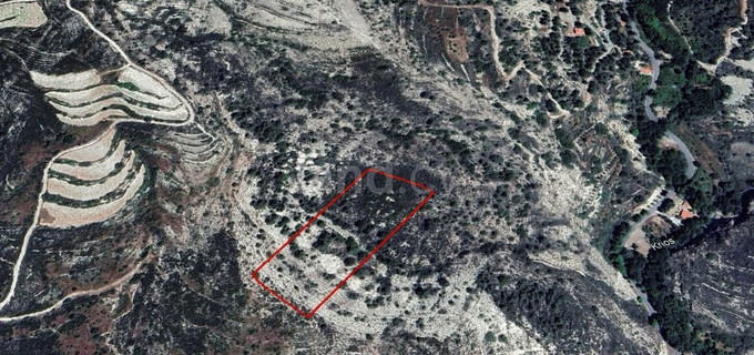 Agricultural field for sale in Limassol