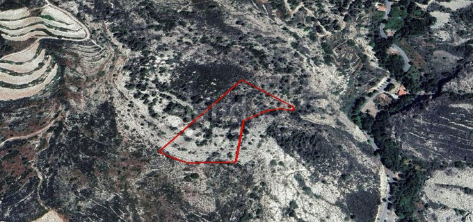 Agricultural field for sale in Limassol