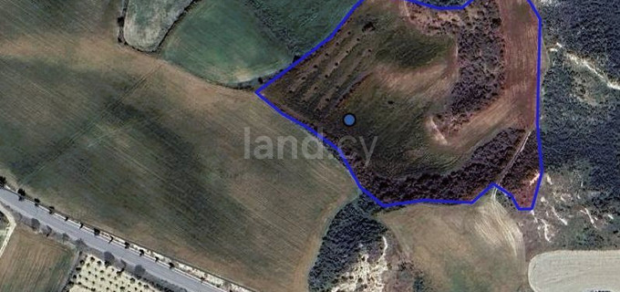 Agricultural field for sale in Paphos