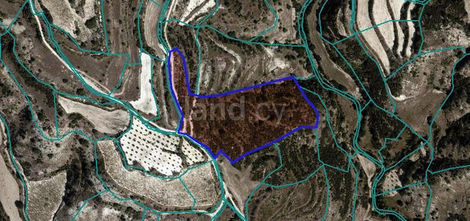 Landwirtschaftliches Baugebiet in Paphos zu verkaufen