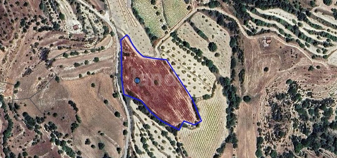 Agricultural field for sale in Paphos
