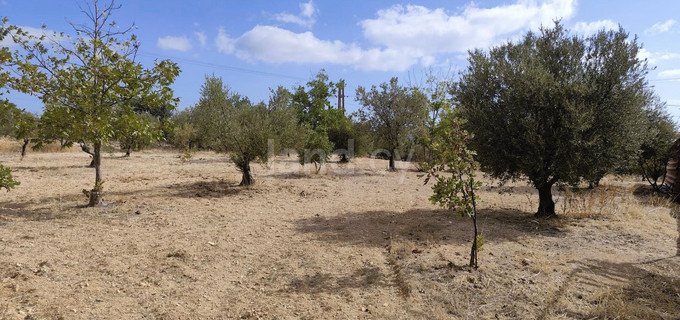 Field for sale in Limassol