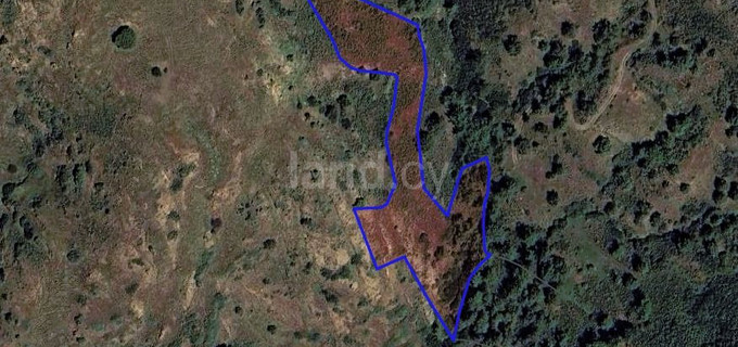 Campo agrícola a la venta en Nicosia