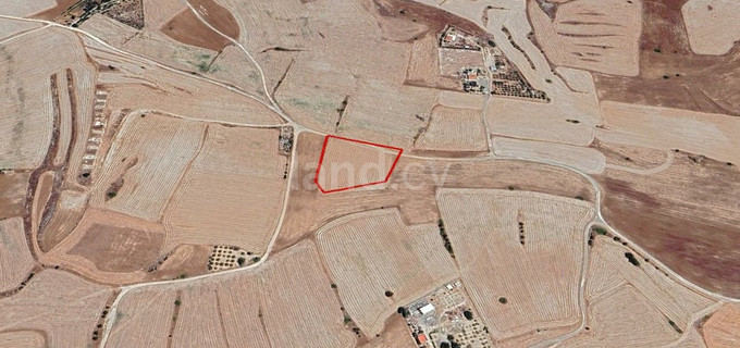 Campo agrícola a la venta en Larnaca