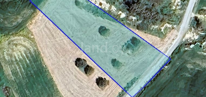 Residential field for sale in Larnaca