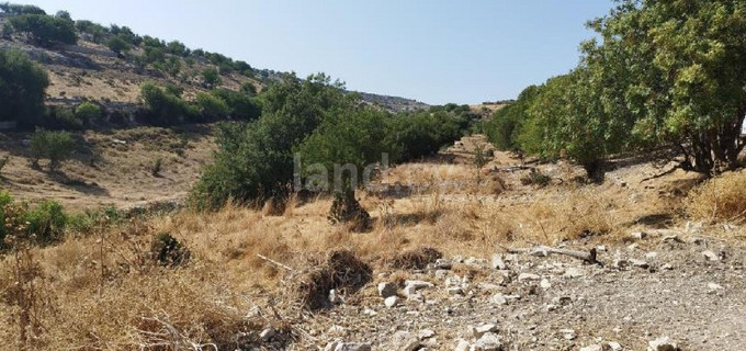 Agricultural field for sale in Limassol