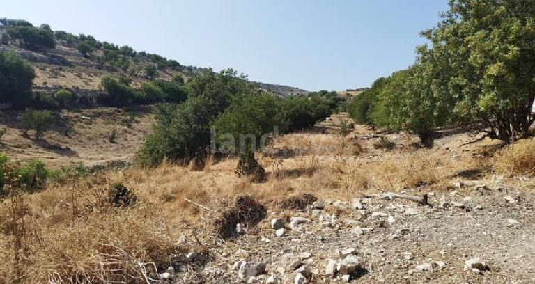 Сельскохозяйственное поле на продажу в Лимассол