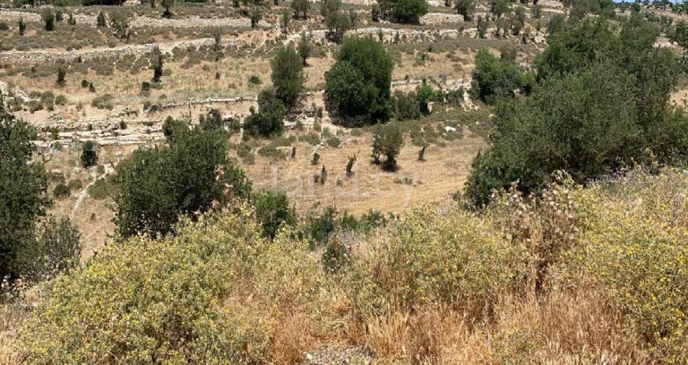 Αγροτικό αγροτεμάχιο προς πώληση - Λεμεσός