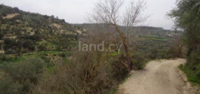 Landwirtschaftliches Baugebiet in Paphos zu verkaufen