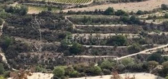 Landwirtschaftliches Baugebiet in Paphos zu verkaufen