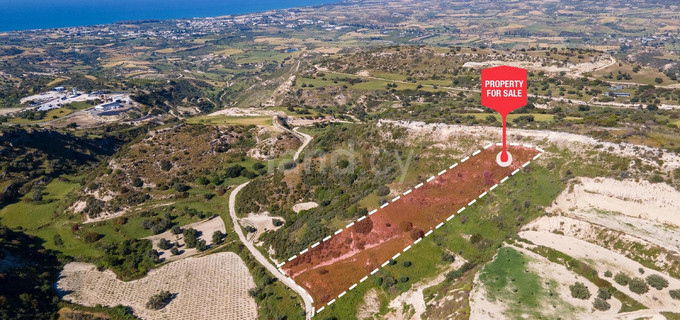 Terrain agricole à vendre à Paphos