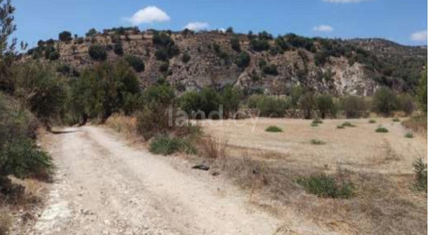 Agricultural field for sale in Paphos