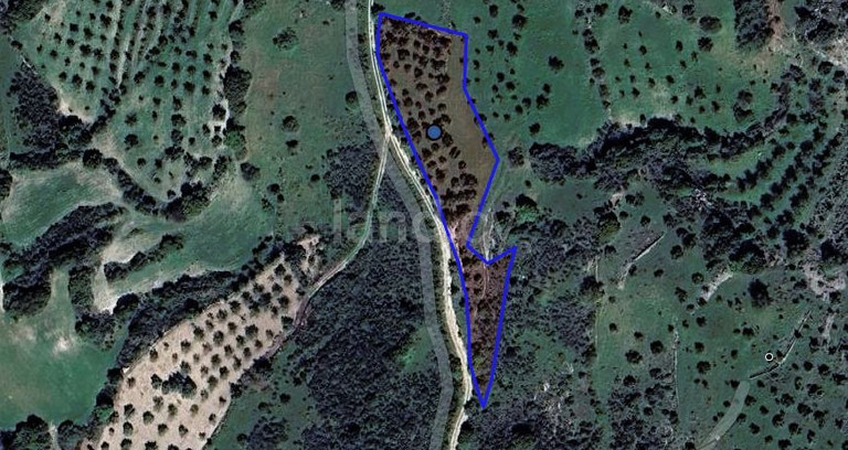 Αγροτικό αγροτεμάχιο προς πώληση - Πάφος