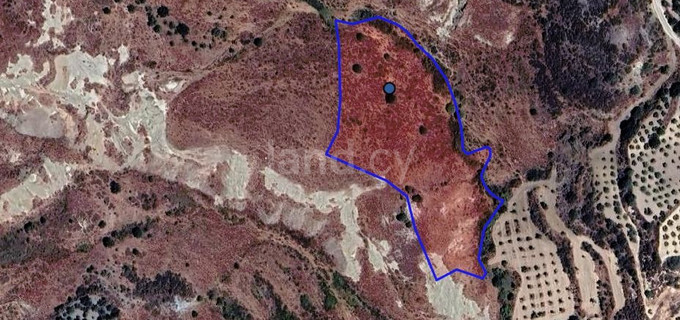 Campo agrícola a la venta en Paphos