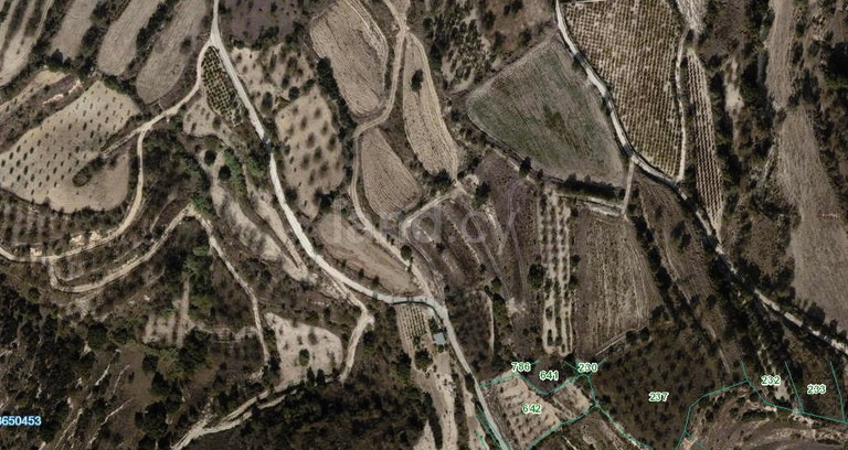 Terrain agricole à vendre à Paphos