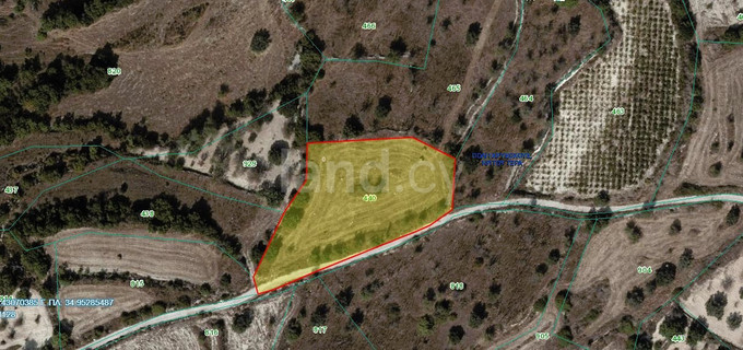 Agricultural field for sale in Paphos