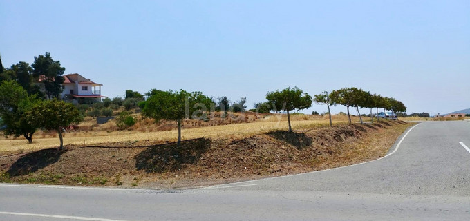 Residential field for sale in Limassol