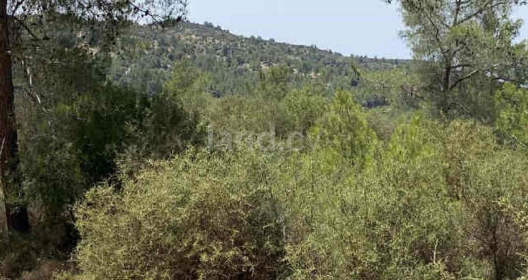 Landwirtschaftliches Baugebiet in Paphos zu verkaufen