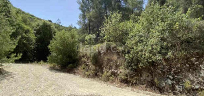 Landwirtschaftliches Baugebiet in Paphos zu verkaufen