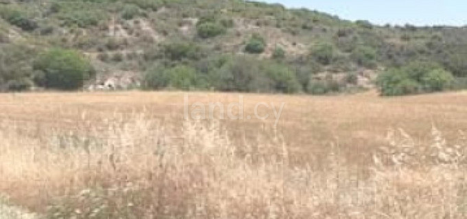 Terrain agricole à vendre à Paphos