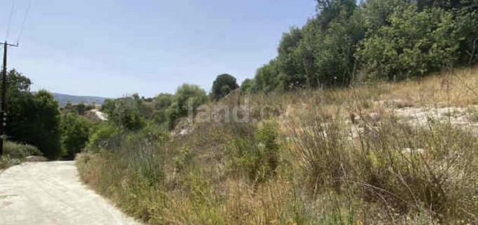 Landwirtschaftliches Baugebiet in Paphos zu verkaufen